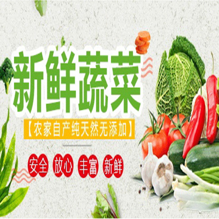 清新區(qū)食材批發(fā)蔬菜配送服務(wù)公司報(bào)價(jià)表與食堂送菜服務(wù)解析
